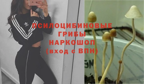 шишки Вязники