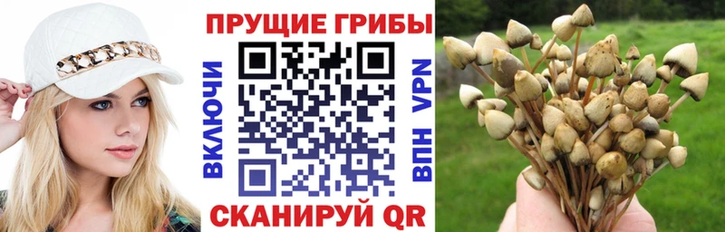 цены   Полысаево  Псилоцибиновые грибы мухоморы 