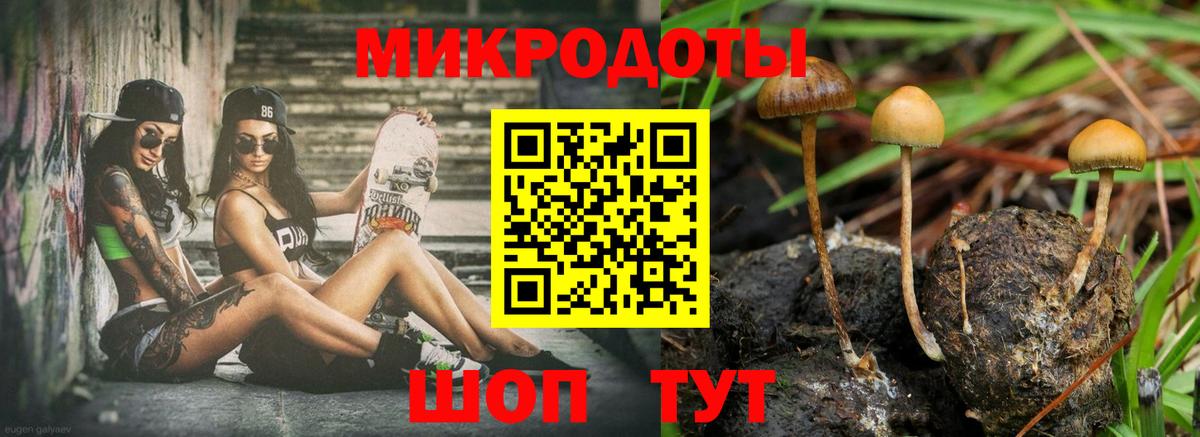 где купить наркотик  Вход с VPN  Полысаево  Галлюциногенные грибы GOLDEN TEACHER 