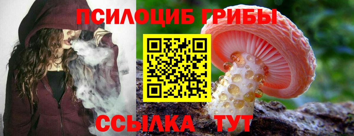 Галлюциногенные грибы GOLDEN TEACHER Полысаево