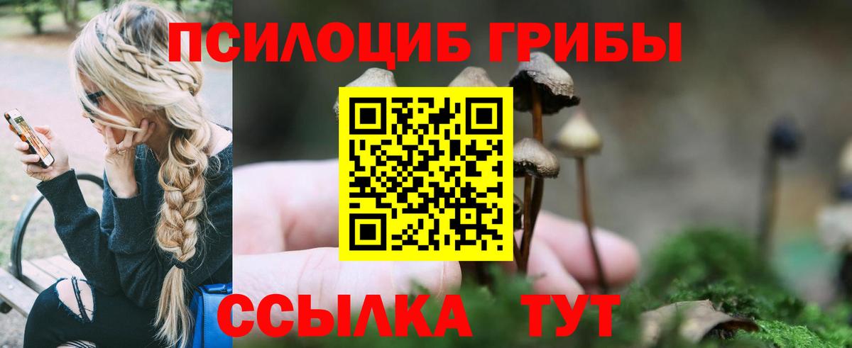 Псилоцибиновые грибы Magic Shrooms Полысаево